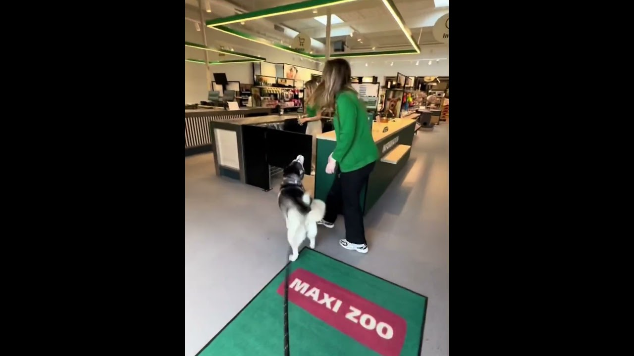 Greeting a dog,the dog’s response😂😂🤣🤣