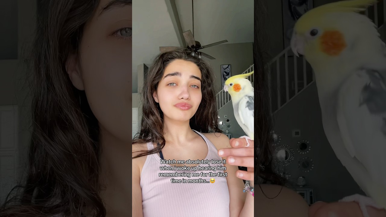 MY BIRD FINALLY REMEMBERS ME🥹 #cried