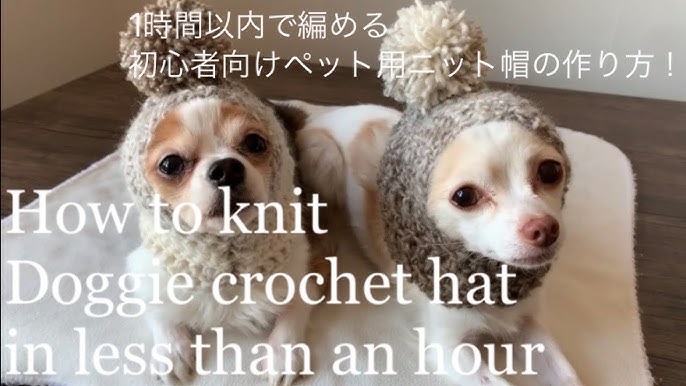 1時間以内で編めちゃった 初心者向けペット用ニット帽の作り方 Youtube 1時間以内で編めちゃった 初心者向けペット用ニット帽の作り方 Youtube