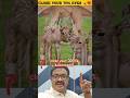#trending lord Balaji visible here shorts for Telugu yt shorts #hindu #temple #devotional #god