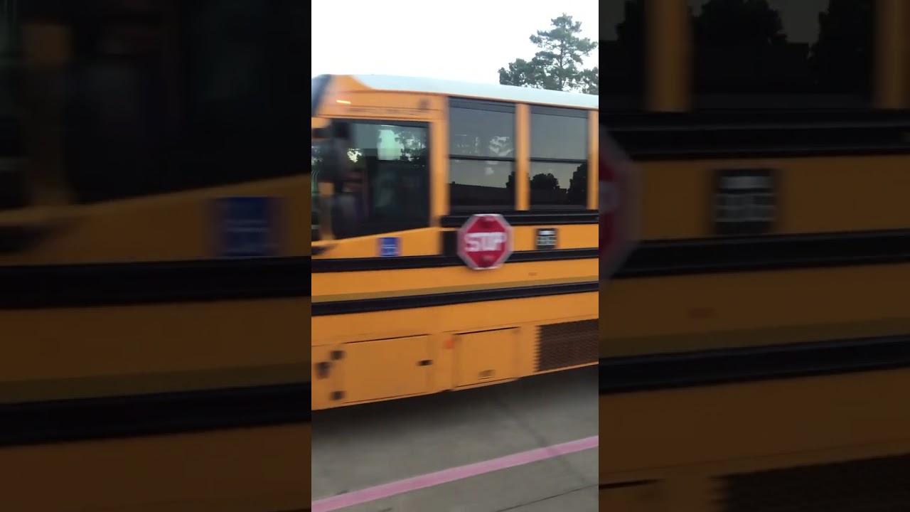 2006 Thomas Saftliner C2 Handicap