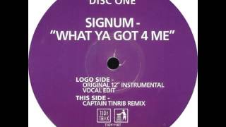 Signum - What Ya Got 4 Me (Original 12 Instrumental)