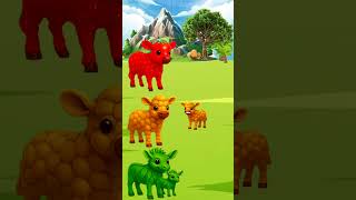 The calf is looking for its mother. #cartoon #funny #trending #shortvideo