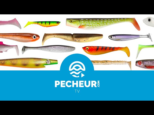 Shad - incontournables leurres souples pour la pêche des carnassiers 