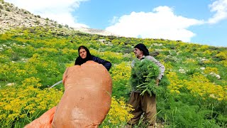 Nomadic Life: Building a Shelter by the Hardest Working Nomadic Family