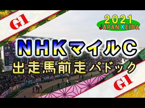 【競馬パドック】NHKマイルC・前走パドック（2021年）
