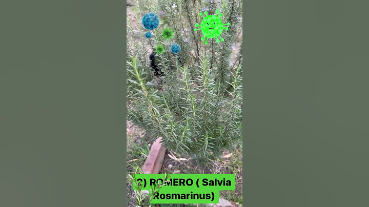 3 PLANTAS Para Curar RESFRÍOS, Gripé y Tos 🤧