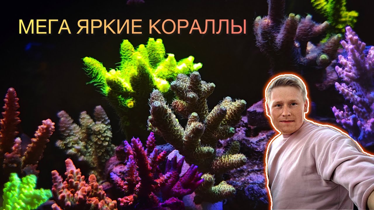 ОБЗОР МОРСКОГО АКВАРИУМА СЕРГЕЯ