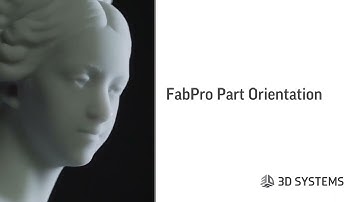 FabPro Orientation Part 2 | Tutorial 3 | 3D Sprint with FabPro