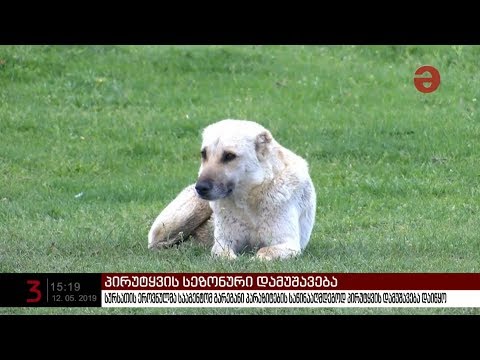 სურსათის ეროვნულმა სააგენტომ გარეგანი პარაზიტების საწინააღმდეგოდ პირუტყვის დამუშავება დაიწყო