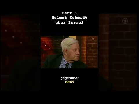 Helmut Schmidt kritisiert