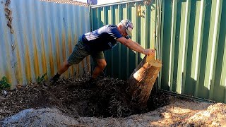 How to Remove a Cocos Palm Stump (2)