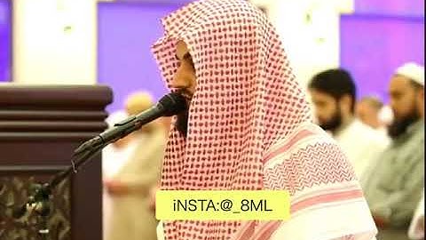 رعد محمد الكردي سورة الزلزلة