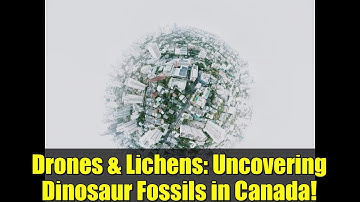 Drones & Lichens: Uncovering Dinosaur Fossils in Canada!