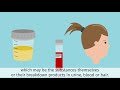 HBM4EU – Science and Policy for a Healthy Future – English