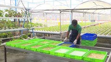 Bảo đảm an toàn thực phẩm trong nông nghiệp