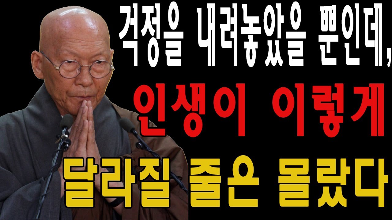 걱정을 내려놓았을 뿐인데, 인생이 이렇게 달라질 줄은 몰랐다 | 법정 스님 지혜 | 불교 | 인생명언 | 평온한 삶 | 무소유 | 행복한 노후