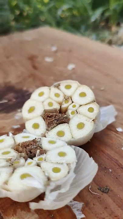 RT 800000167 mini rotary tillage and ridging all in one tree