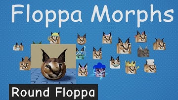 Round Floppa Find the Floppa Roblox