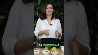 Coffee grounds eliminate ants and fertilize plants. screenshot 1