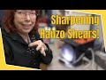 Hanzo Shears Pushing Hair - Repair and Sharpening | Bonika Shears