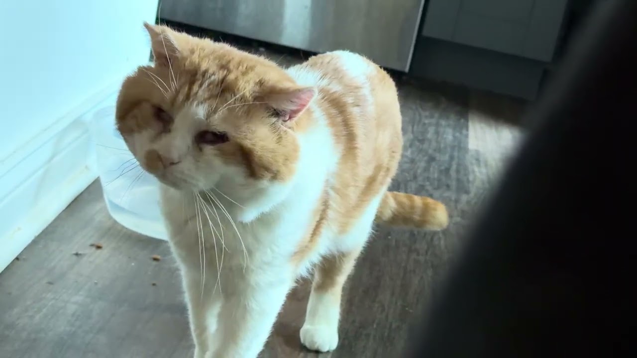 Слишком уж драматично