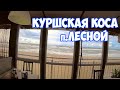 Калининград. Калининградская область. Куршская коса. поселок Лесной, променад