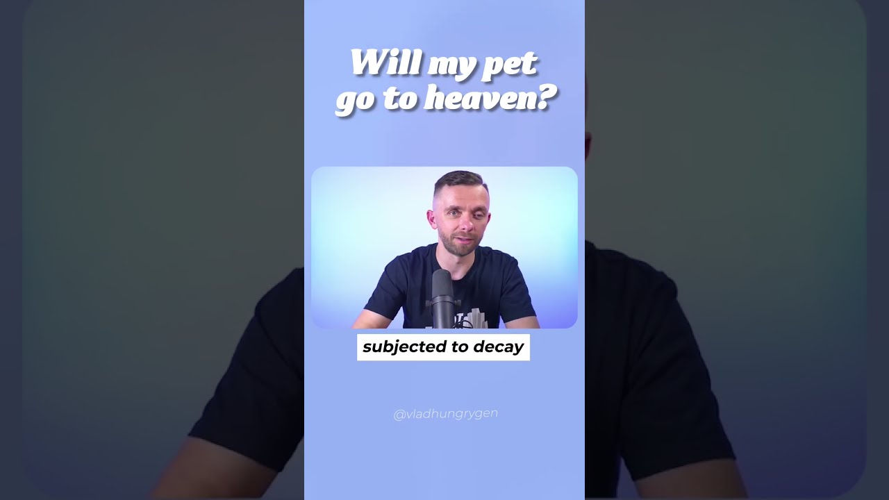Do Pets Go To Heaven 