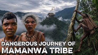 Inside the Mamanwa Tribe: A Life of Survival in the Remote Philippine Jungle(Full Documentary)