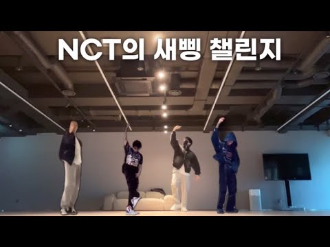 [NCT] NCT 태용, 마크, 쇼타로, 지성이 추는 새삥