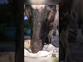 Eps001 Two dogs help a kind girl bring sweet potatoes from the forest to make cakes #harvest part2