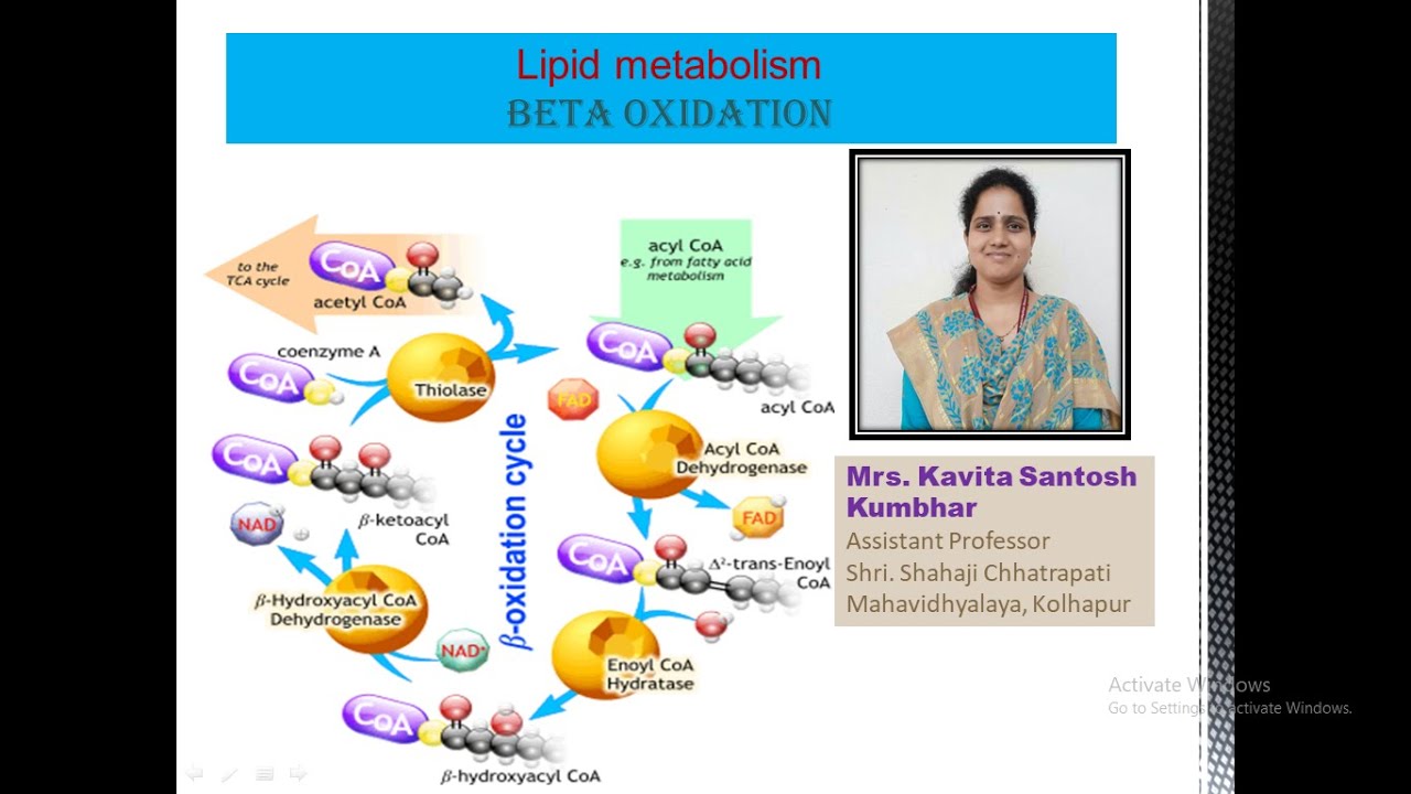 B.Sc.II Beta Oxidation - YouTube