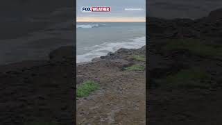 Powerful Waves Slam Coast Highway 101 In California