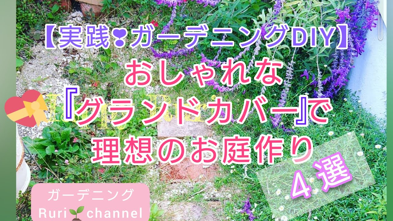 ゼロからのお庭 Diy 続編 おすすめのグランドカバー厳選 ナチュラルな雰囲気作りに Youtube