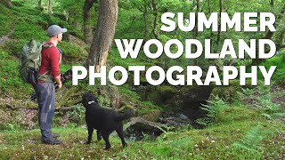 Photographing Woodland in Summer - Advice and Inspiration
Its that time of year when spring is almost at an end and some photographers start to shy away from woodland as the vibrant green cloak of summer begins to engulf the overstory and understory. Personally, I very much enjoy June and the feelings of vitality and softness it brings. Historically, I favoured the wet and murky days of summer but Im spending a lot more time embracing the warming sunlight, clear dry days, and the challenges they may bring. After over a week out of action, this was a great evening wander in my project oak woodland. Good exercise, beautiful surrounding, fun times for Meg, successful compositions and new potential discovered. When woodland photography is your passion, its very much an all the year round pursuit. I hope you enjoy this episode and find some value in the discussions around composition and light.
Custard!
► LIMITED EDITION Box Set of 12 Prints: https://baxter.photos/shop/box-set-local/
► SUPPORT the production of more videos through: https://www.patreon.com/simonbaxter
🔔 Please subscribe and click the notification bell
► USEFUL LINKS
Prints & Workshops: https://baxter.photos/
My Gear: https://baxter.photos/my-gear/
Donate: https://baxter.photos/donate
Newsletter: http://eepurl.com/cAy2rv
► MUSIC
Get the BEST music for your videos here: http://share.mscbd.fm/baxterphotos
Music used in this video:
Centre by Will Pearce
Letting Go by Carolino
Polaris by Jordan Critz
World to Ourselves by By The Coast
► SOCIAL PROFILES
Instagram: https://www.instagram.com/baxter.photos/Facebook: https://www.facebook.com/SimonBaxterPhotography/
Follow MEG: https://www.instagram.com/meginthewoods
#WoodlandPhotography #Summer #Custard Photographing Woodland in Summer - Advice and Inspiration