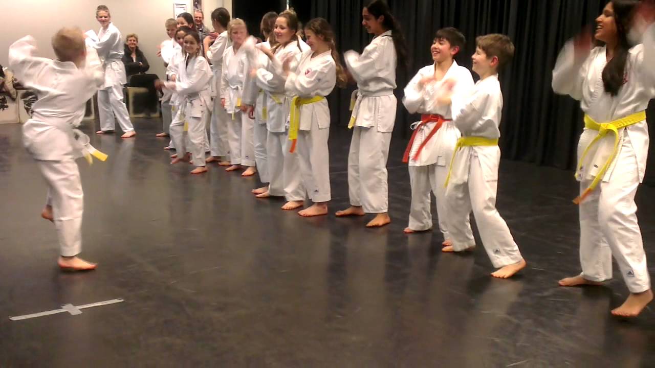 Karate Team Utrecht - Thriller