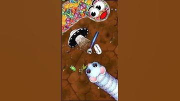 😎 MINI SNAKE IN BIG SNAKE HUNTING #shorts #wormszone #youtubeshorts #trending