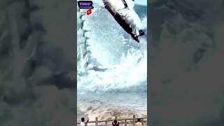 mosasaurus vs shark