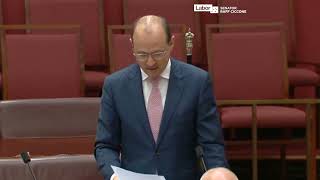 'Make Amazon Pay' campaign: Senate Two-minute Statement, 27 November 2024
