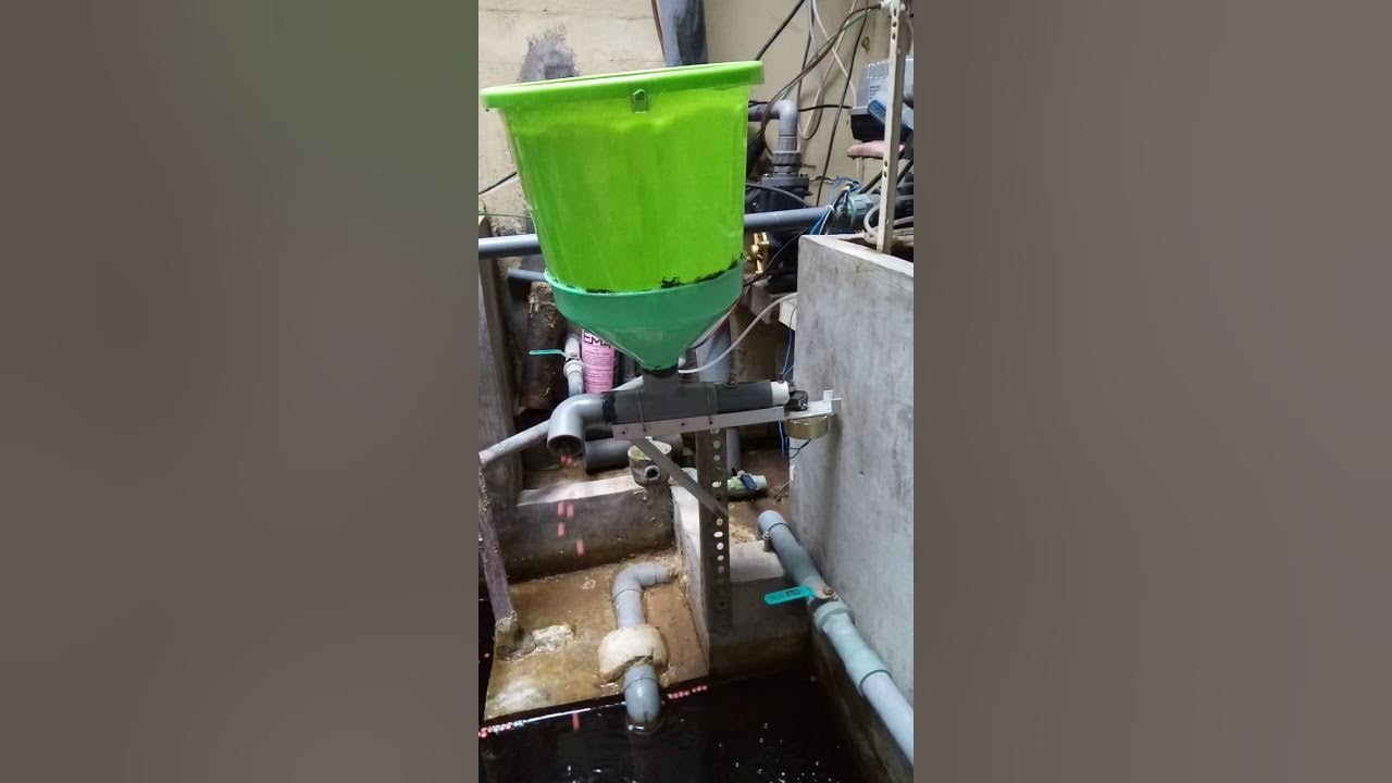 DIY KOI FEEDER UNDER 10 YouTube