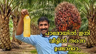 Palm oil Preparation at Home | How to make Palm oil at Home