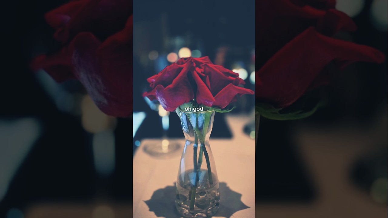 How This Diner Became The Most Beautiful Restaurant Ever