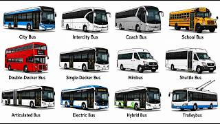 Every Type of Bus Explained in 10 Minutes