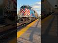 Metra 519 pushes the inbound into Lake Cook rd