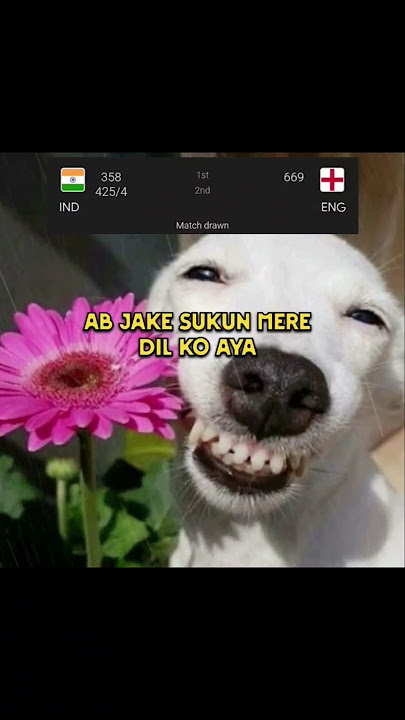 Sukun Ka Naam Suna Hai 😭 #shorts