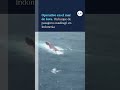 Buque de pasajeros naufragó en Indonesia: al menos 6 muertos y 129 desaparecidos en el mar de Java