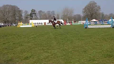 Team Bragg Kelsons Limited Edition show jumping Aldon 2015