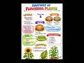 Anatomy of Flowering Plants | Complete Chapter Notes | Class 11 Biology | # biology #shorts #exam