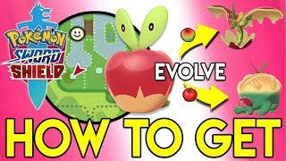 How to get Applin Flapple Appletun in Pokemon Sword and Shield (Location and How to Evolve) screenshot 2