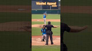 Wasted Appeal. Teams Have 3 Appeals, Use Them Wisely.